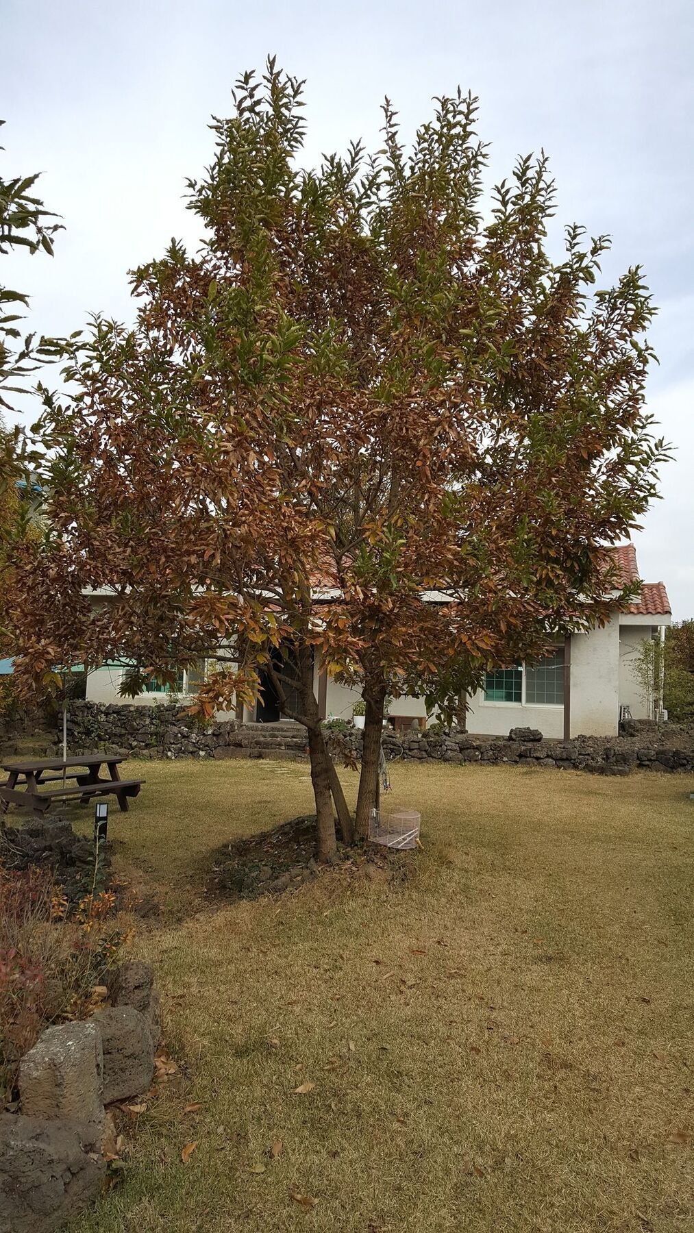 Supgol Private House Vila Jeju Exterior foto