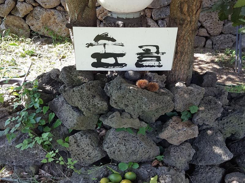 Supgol Private House Vila Jeju Exterior foto