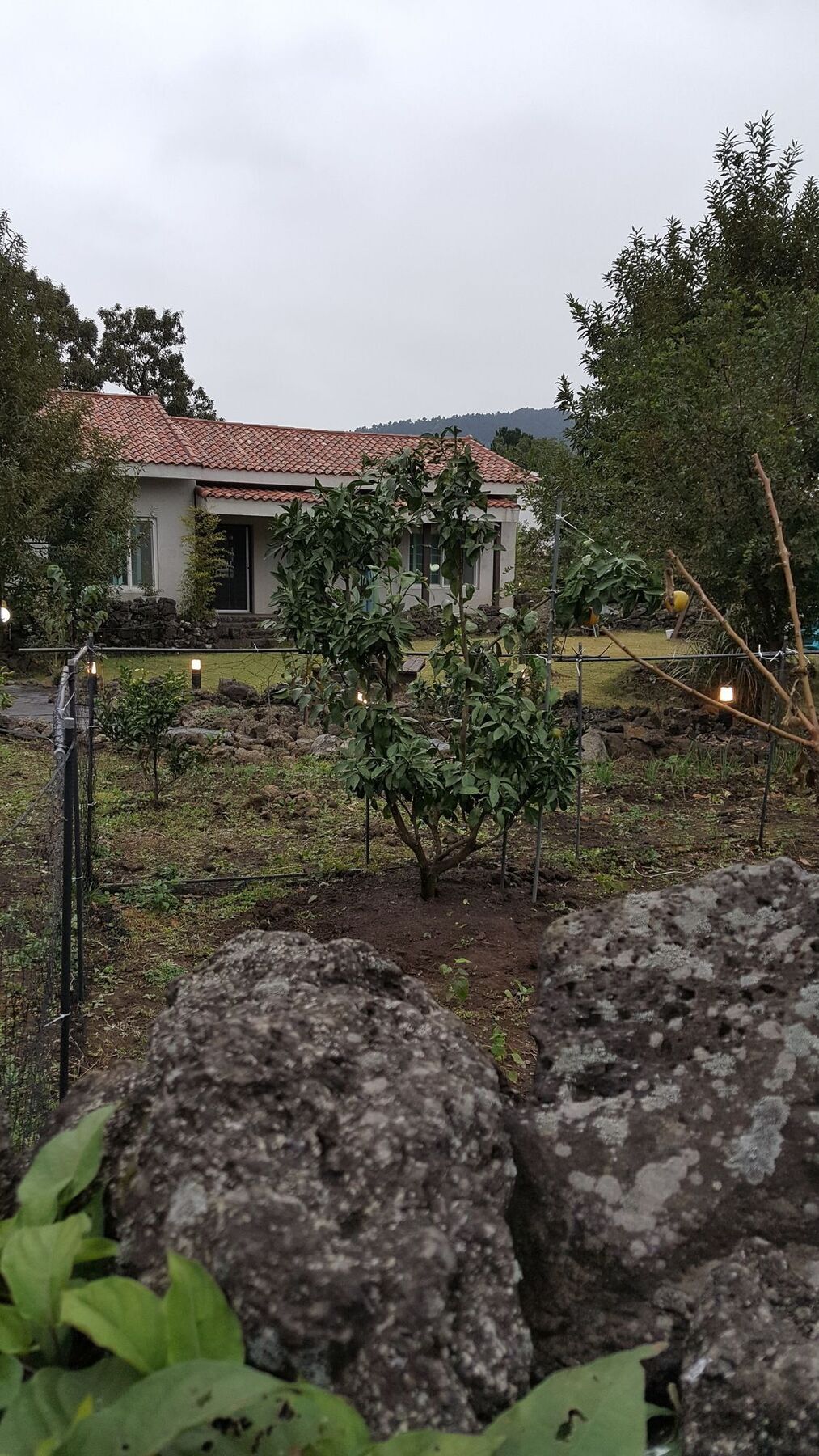 Supgol Private House Vila Jeju Exterior foto